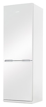 Холодильник Amica FK328.4 Фото