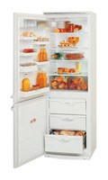 Холодильник ATLANT МХМ 1717-01 Фото
