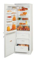 Холодильник ATLANT МХМ 1817-23 Фото