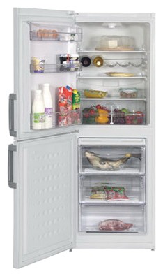 Холодильник BEKO CS 230020 Фото