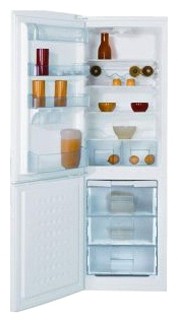 Холодильник BEKO CS 234000 Фото