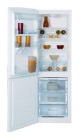 Холодильник BEKO CS 234010 Фото