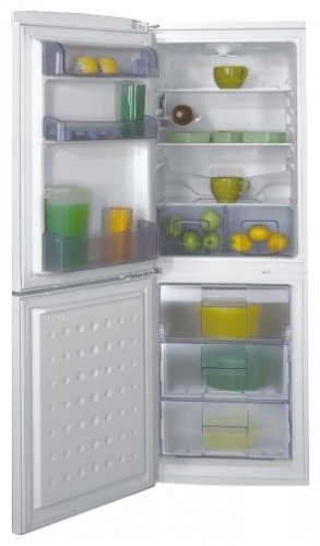 Холодильник BEKO CSA 24023 Фото