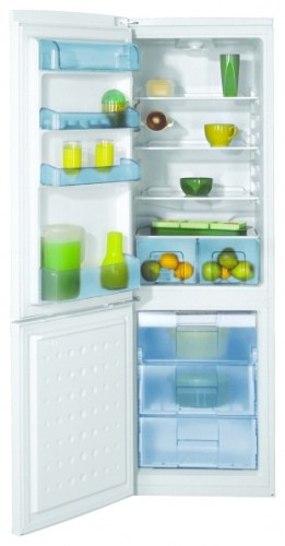 Холодильник BEKO CSA 31020 Фото
