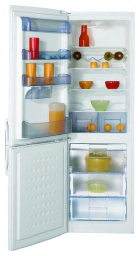 Холодильник BEKO CSA 34020 Фото
