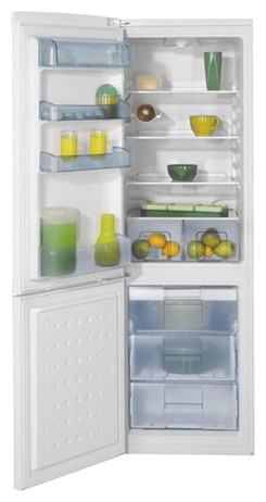 Холодильник BEKO CSK 31050 Фото