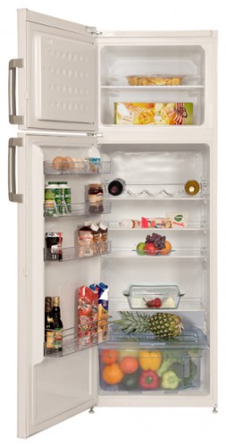 Холодильник BEKO DS 233020 Фото