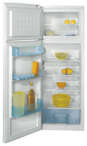 Холодильник BEKO DSK 25000 Фото