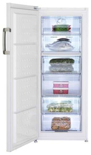 Холодильник BEKO FN 121420 Фото