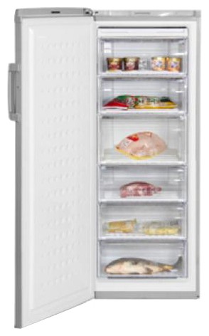 Холодильник BEKO FS 225320 X Фото