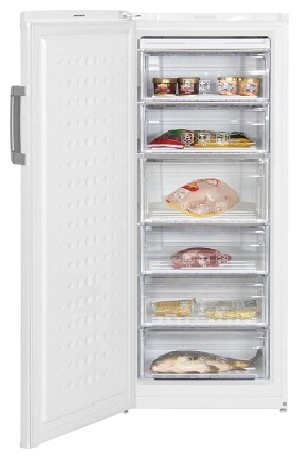 Холодильник BEKO FS 225320 Фото