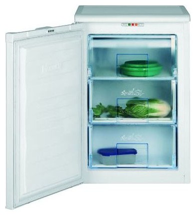 Холодильник BEKO FSE 1010 Фото