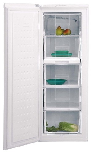 Холодильник BEKO FSE 21906 Фото