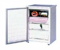 Холодильник Бирюса 90C Фото