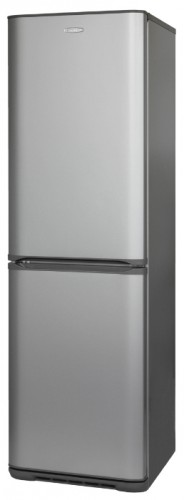 Холодильник Бирюса M125 Фото