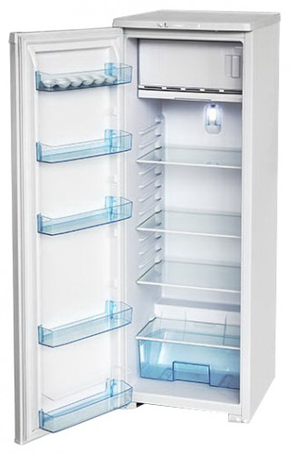 Холодильник Бирюса R106CA Фото