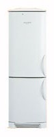 Холодильник Electrolux ENB 3669 Фото