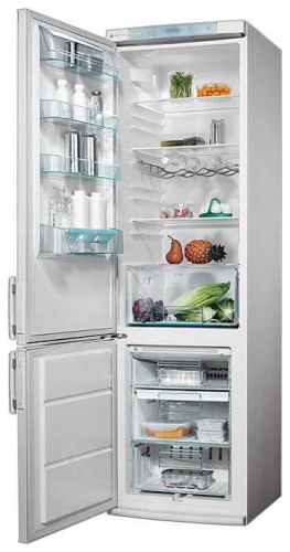 Холодильник Electrolux ENB 3850 Фото