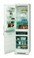 Холодильник Electrolux ERB 3109 Фото
