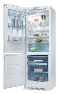 Холодильник Electrolux ERB 34402 W Фото