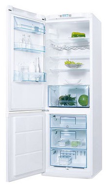 Холодильник Electrolux ERB 36402 W Фото