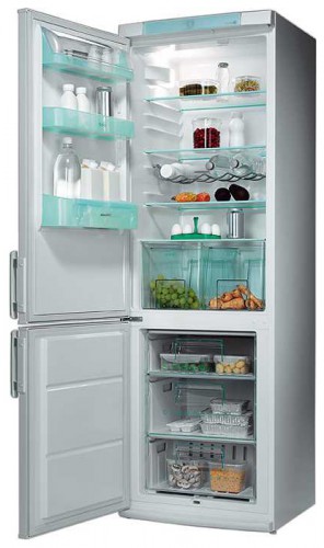 Холодильник Electrolux ERB 3641 Фото
