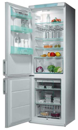 Холодильник Electrolux ERB 3651 Фото
