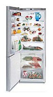 Холодильник Gaggenau RB 272-250 Фото