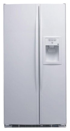 Холодильник General Electric GSE25METCWW Фото