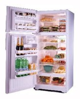 Холодильник General Electric GTG16HBMSS Фото