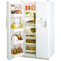 Холодильник General Electric TPG21KRWS Фото