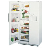 Холодильник General Electric TPG24PRBB Фото