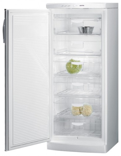 Холодильник Gorenje F 6248 W Фото