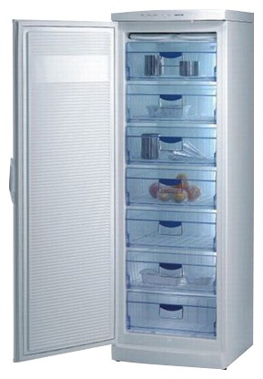 Холодильник Gorenje F 6313 Фото