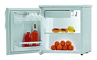Холодильник Gorenje R 0907 BAC Фото