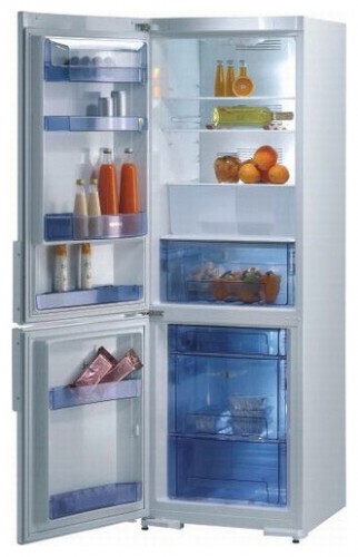 Холодильник Gorenje RK 63341 W Фото
