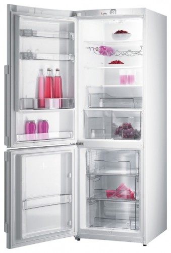 Холодильник Gorenje RK 65 SYA Фото
