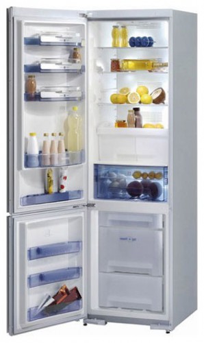 Холодильник Gorenje RK 67365 SA Фото