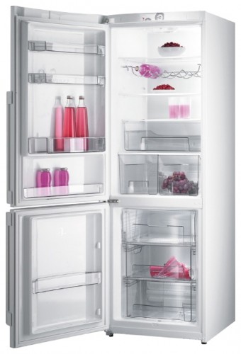 Холодильник Gorenje RK 68 SYW Фото