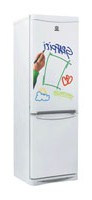 Холодильник Indesit B 18 GF Фото