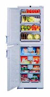 Холодильник Liebherr BGND 2986 Фото
