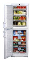 Холодильник Liebherr BGNDes 2986 Фото