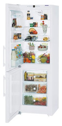 Холодильник Liebherr C 3523 Фото