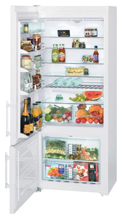 Холодильник Liebherr CN 4656 Фото