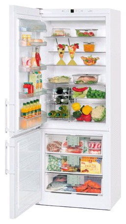 Холодильник Liebherr CN 5013 Фото