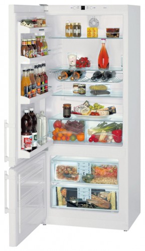 Холодильник Liebherr CP 4613 Фото