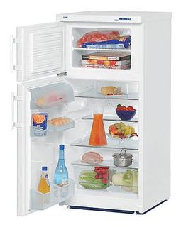 Холодильник Liebherr CT 2031 Фото