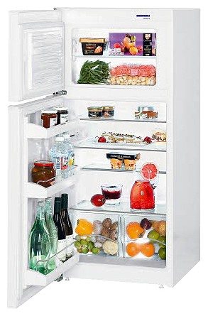 Холодильник Liebherr CT 2051 Фото