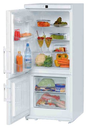 Холодильник Liebherr CU 2601 Фото
