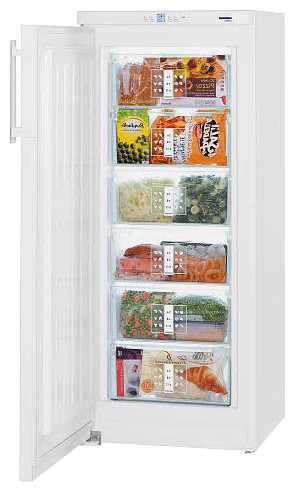 Холодильник Liebherr G 2433 Фото